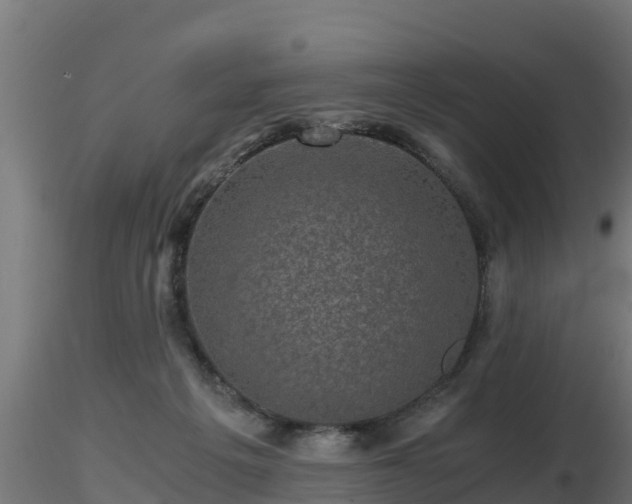 X0000116760217200912241149