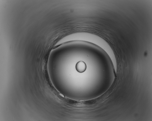 X0000116760219200912241149