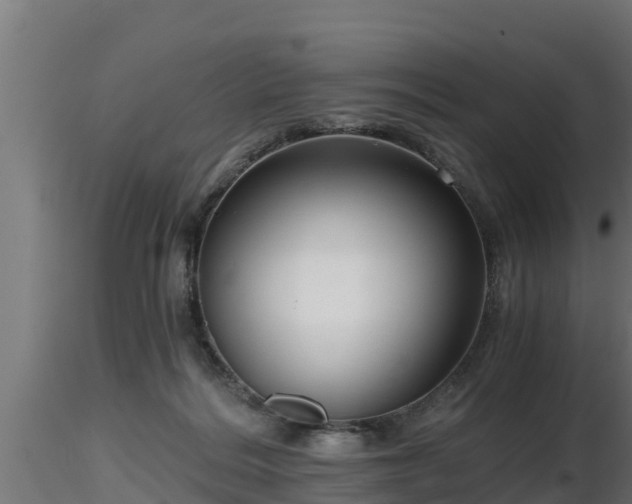 X0000116760220200912241149