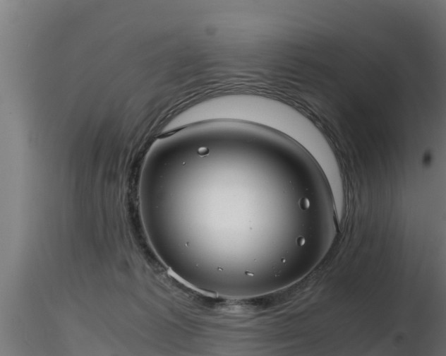 X0000116760221200912241149