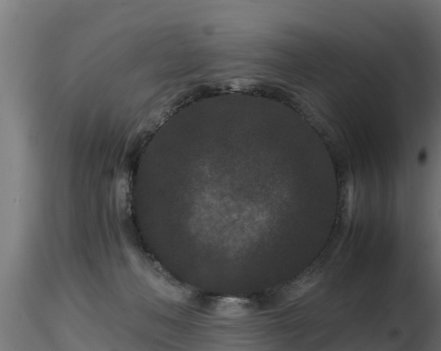 X0000116760222200912241149