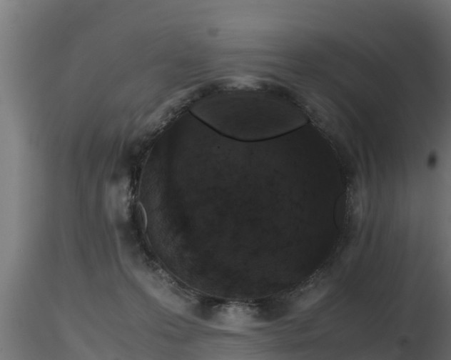 X0000116760223200912241149