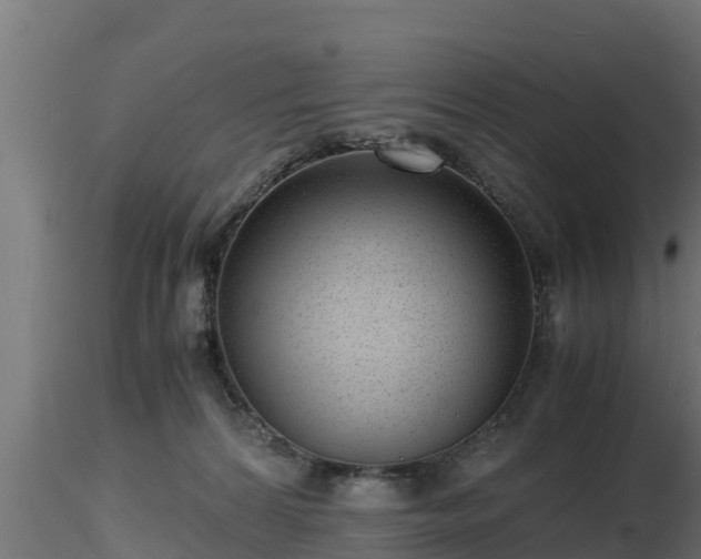 X0000116760224200912241149