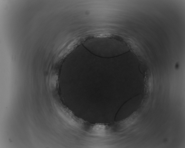 X0000116760227200912241149