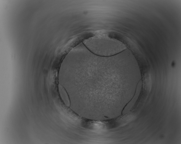 X0000116760229200912241149