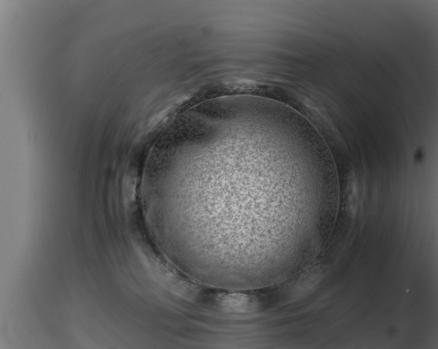 X0000116760230200912241149