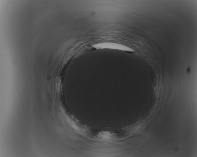X0000116760231200912241149