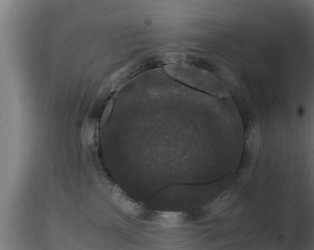 X0000116760233200912241149