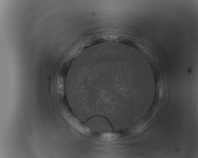 X0000116760234200912241149
