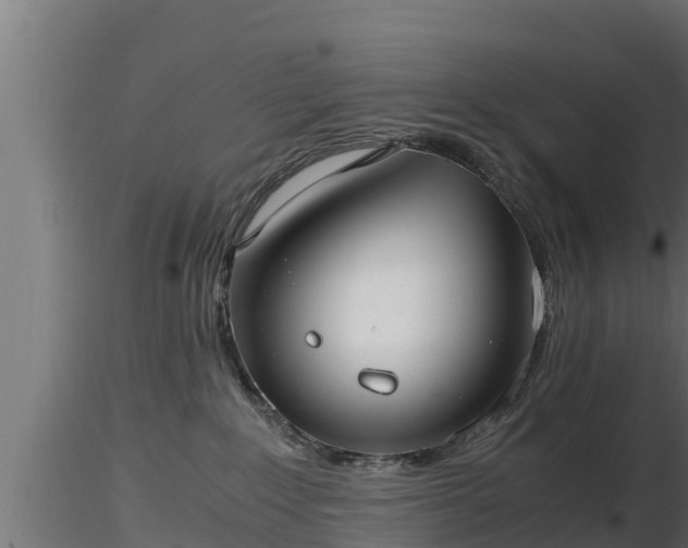 X0000116760235200912241149