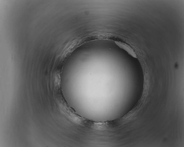 X0000116760240200912241149