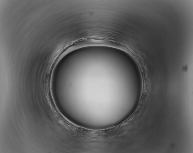 X0000116760241200912241148