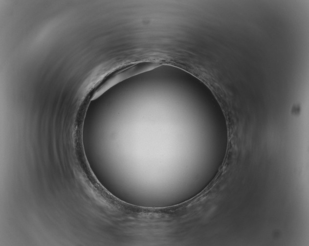 X0000116760242200912241148