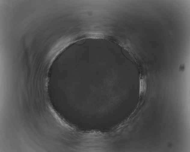 X0000116760243200912241148
