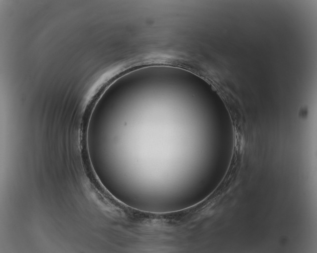 X0000116760244200912241148