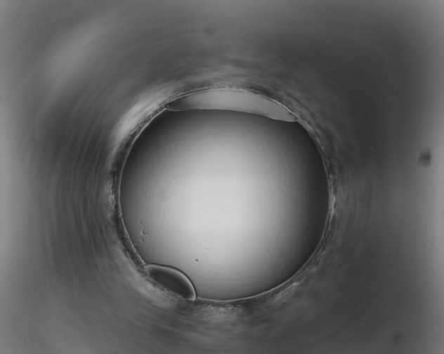 X0000116760245200912241148