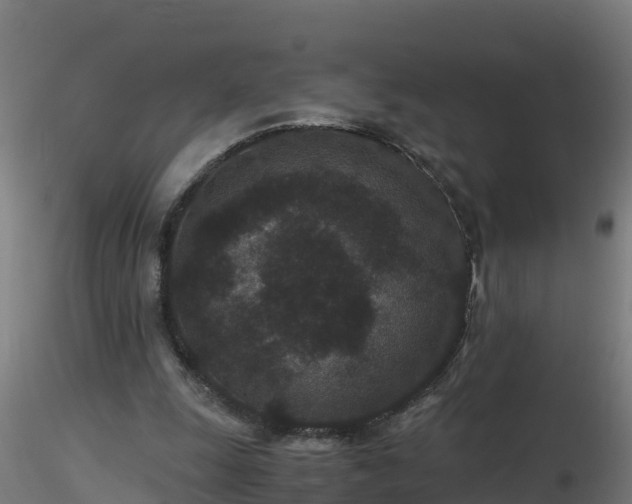X0000116760247200912241148