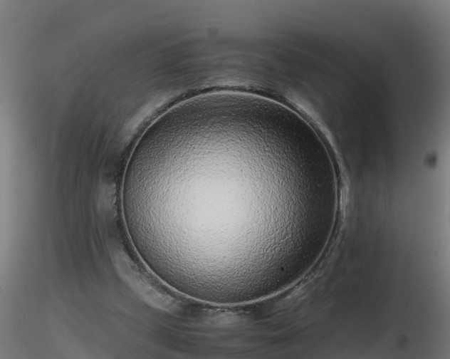 X0000116760249200912241148