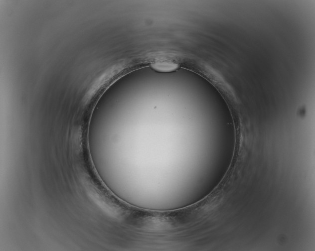 X0000116760250200912241148