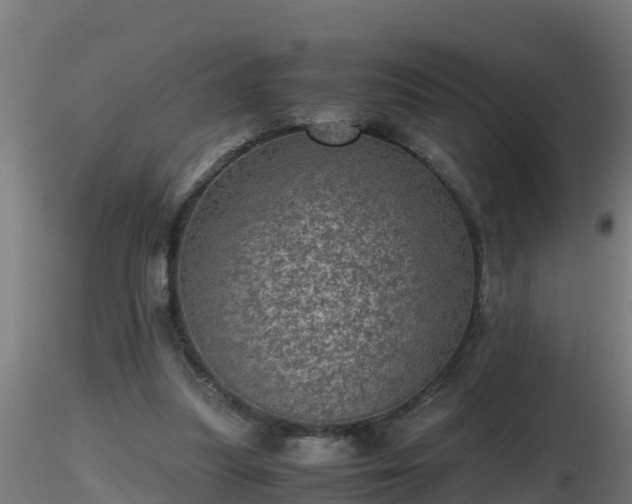 X0000116760251200912241148