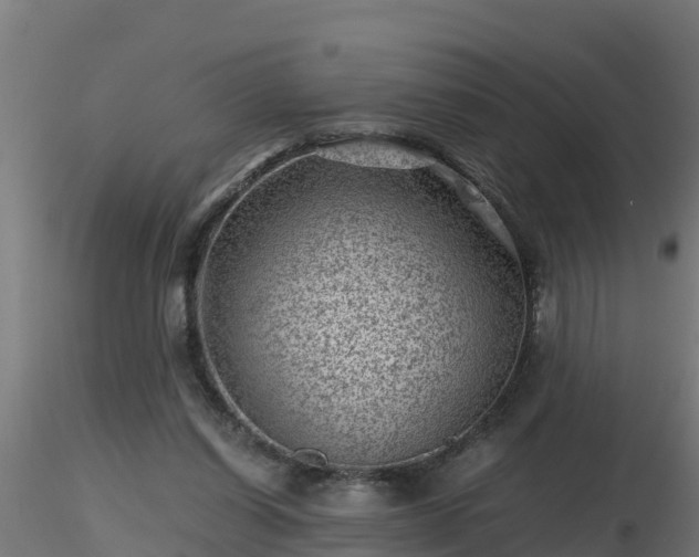 X0000116760254200912241148