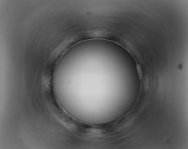 X0000116760255200912241148