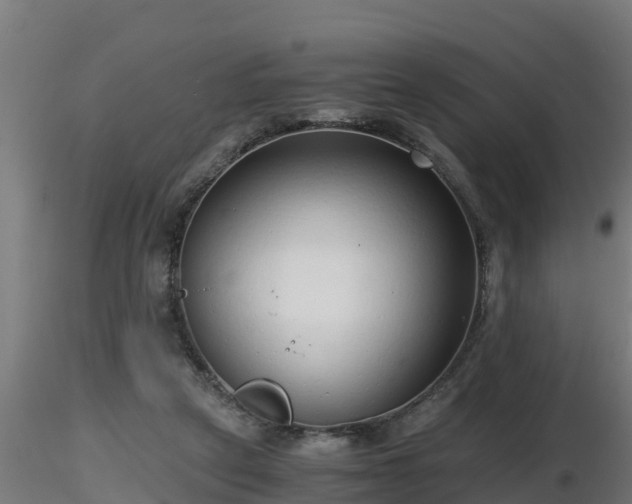 X0000116760257200912241148