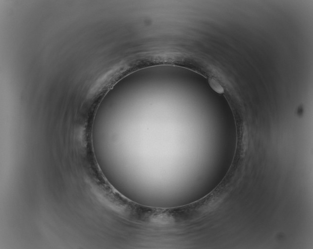 X0000116760258200912241148