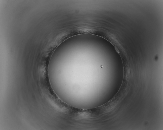 X0000116760259200912241148