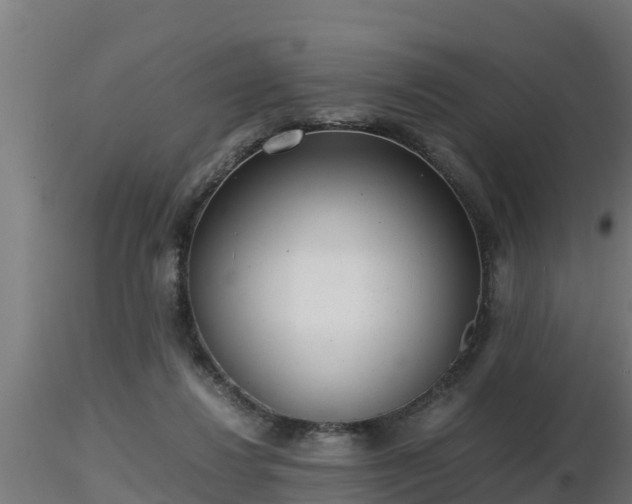 X0000116760260200912241148