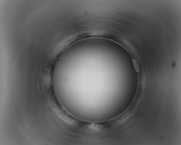 X0000116760261200912241148