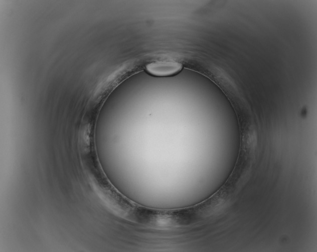 X0000116760264200912241148