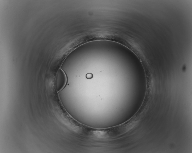 X0000116760265200912241148