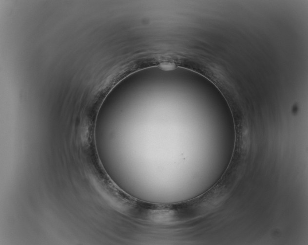 X0000116760266200912241148