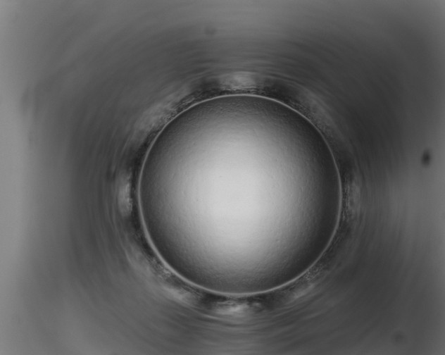 X0000116760267200912241148