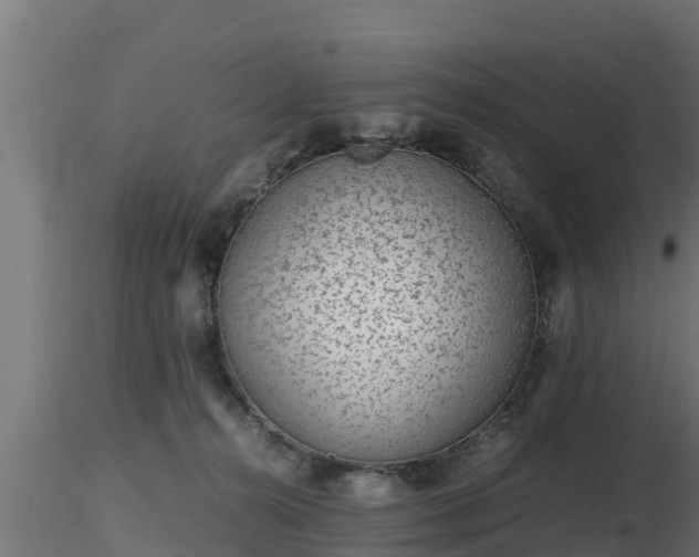 X0000116760272200912241149