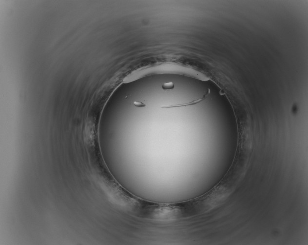 X0000116760274200912241149
