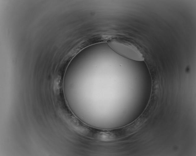 X0000116760275200912241149
