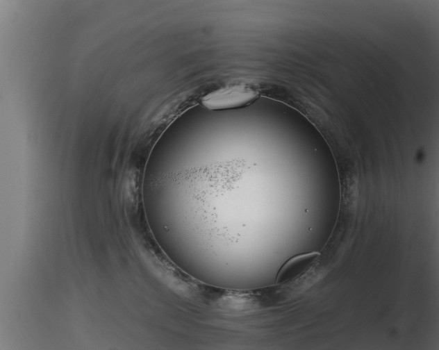 X0000116760280200912241149