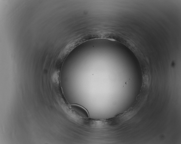 X0000116760286200912241149