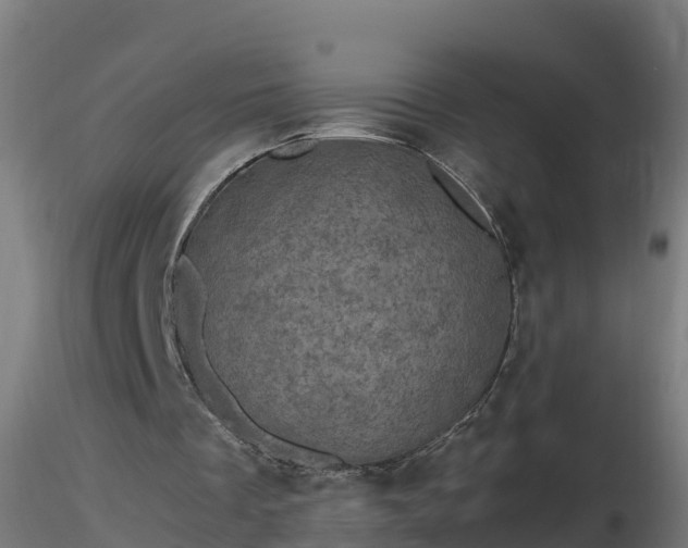 X0000116760289200912241148
