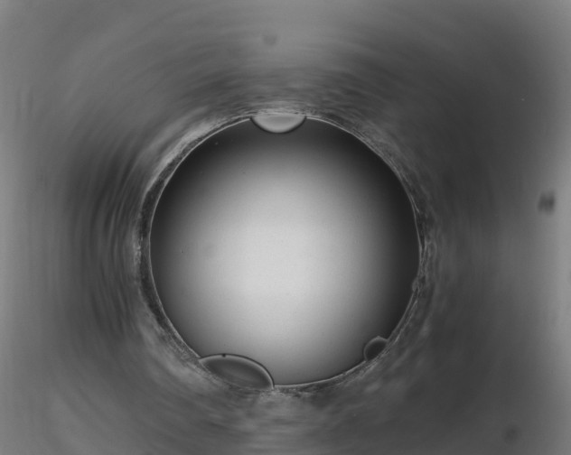 X0000116760290200912241148