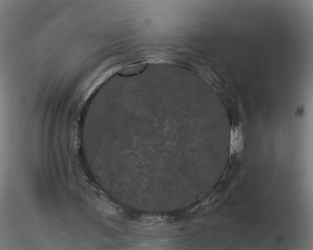 X0000116760291200912241148
