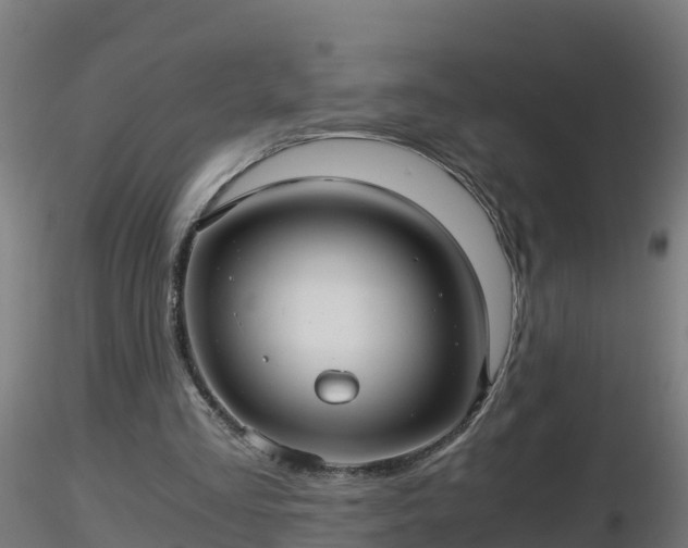 X0000116760293200912241148