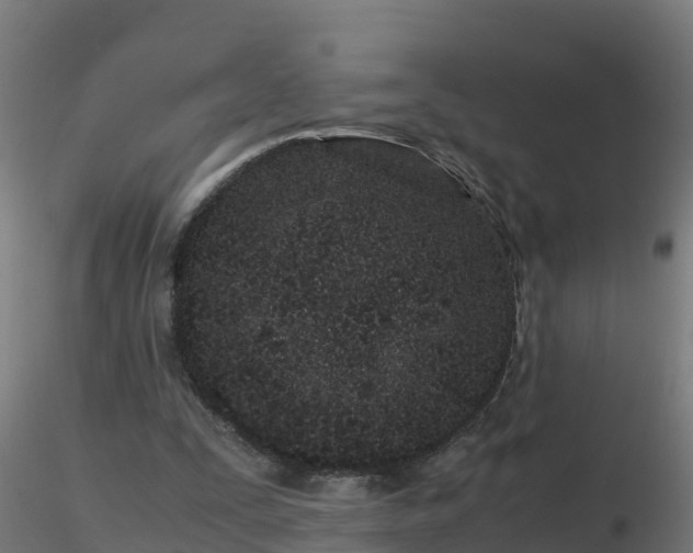 X0000116760295200912241148