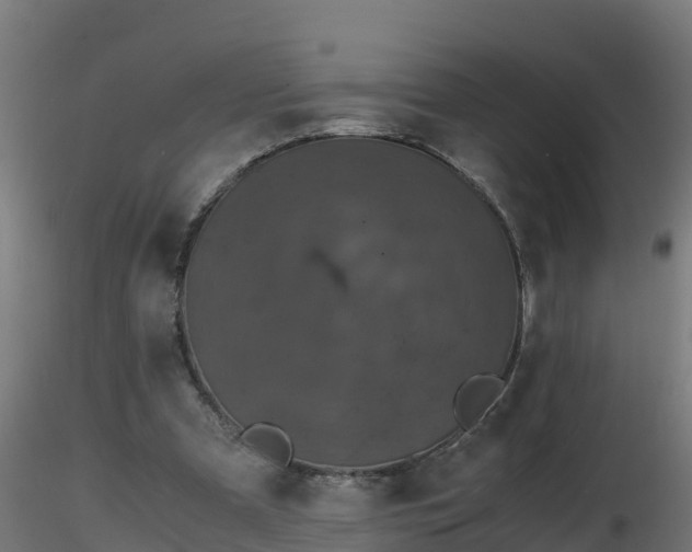 X0000116760297200912241148
