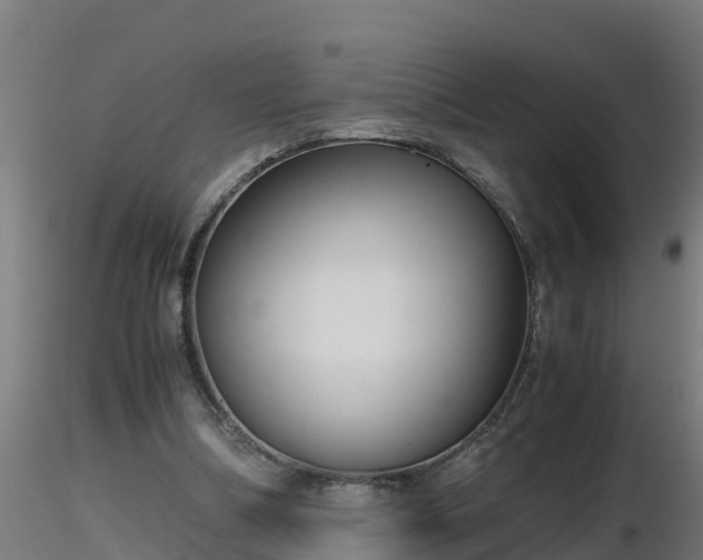 X0000116760298200912241148