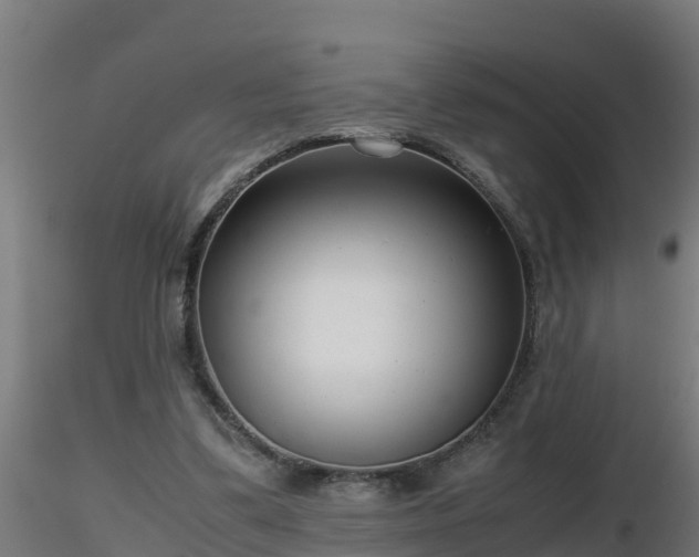 X0000116760299200912241148