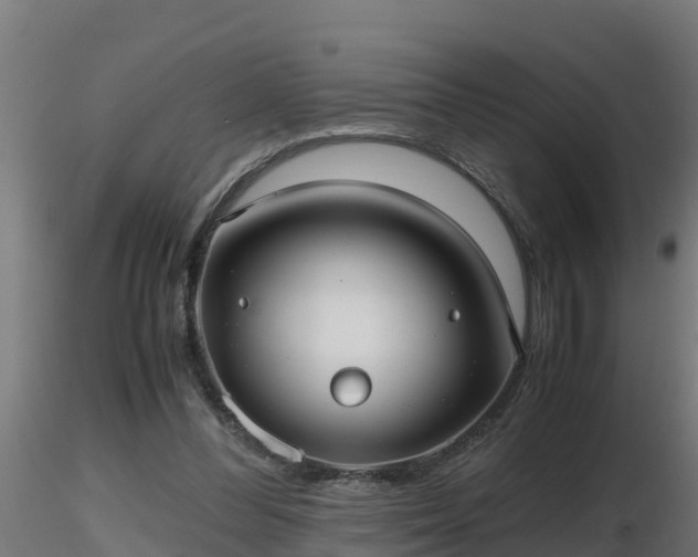 X0000116760300200912241148