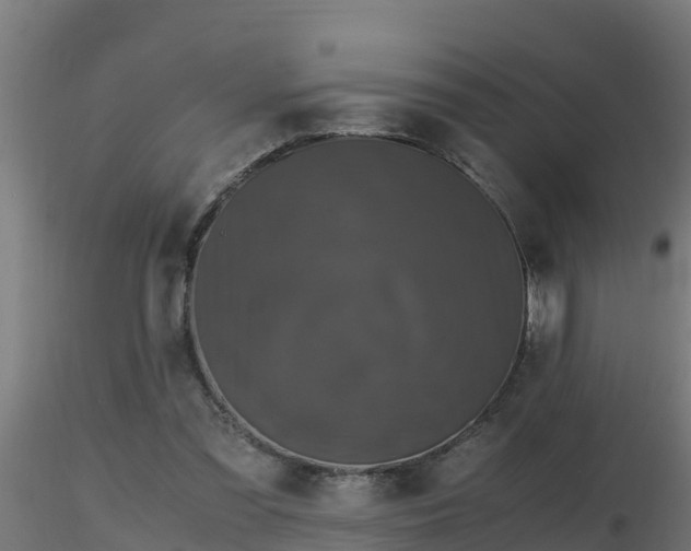 X0000116760301200912241148